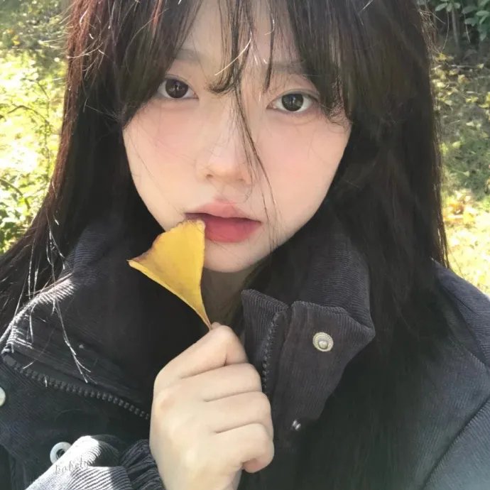 恶魔娃娃2封面